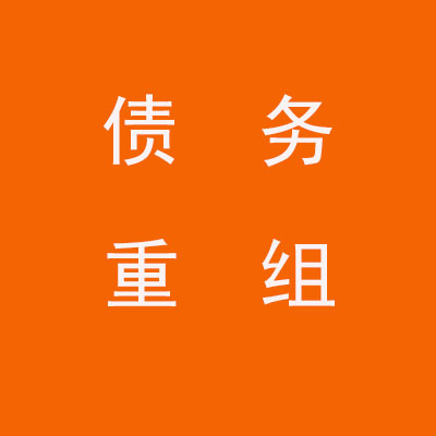 红毛镇个人债务重组优化